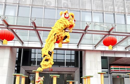 9001cc金沙以诚为本国际新春盛启，，，雄狮之姿展未来！